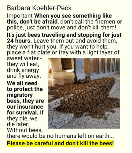 Screenshot_2022-07-29-08-41-19-485_cn.wps.moffice_eng~2