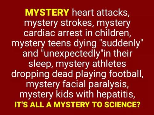 tumblr_f415e791c94186665e63826b3bd1bc89_88f81bb6_640