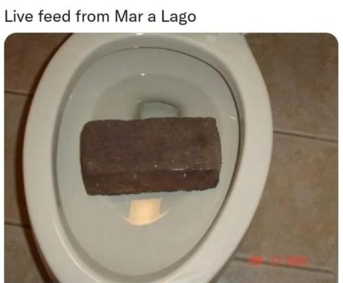 FB_IMG_1657808670562