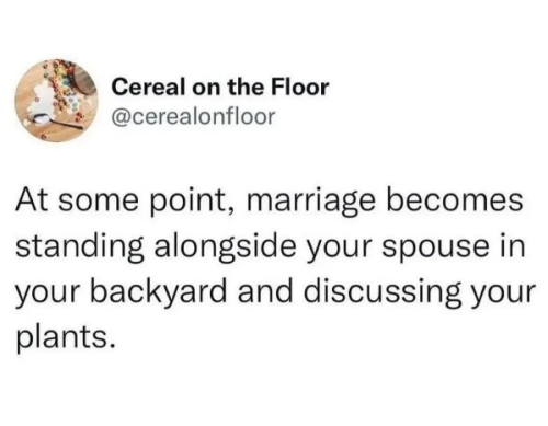 captures_chrome-capture-2022-6-13 (5)