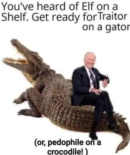 Gator