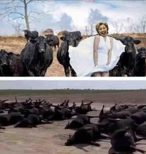 Screenshot_20220708-094139_SoliKick