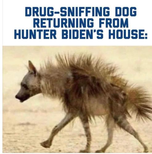 FB_IMG_1657852552658