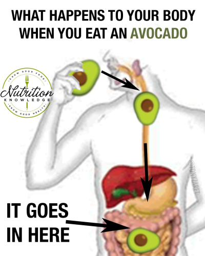 tumblr_bc7a30f1d48617b22a1931d38cda1880_bbe6391d_1280