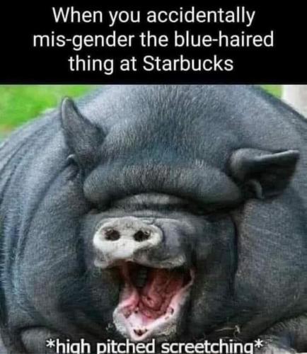 img - 2022-07-30T174544.820