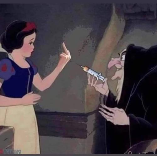 FB_IMG_1657861125645