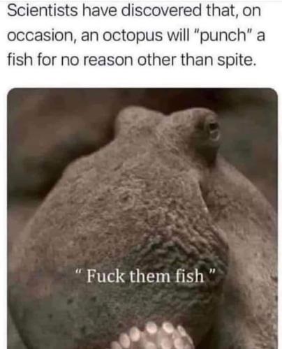 FB_IMG_1657566568706