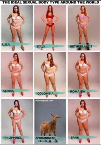 tumblr_9ffcddaca44a12d05e3858f549ac61e3_bbd1bc3e_540