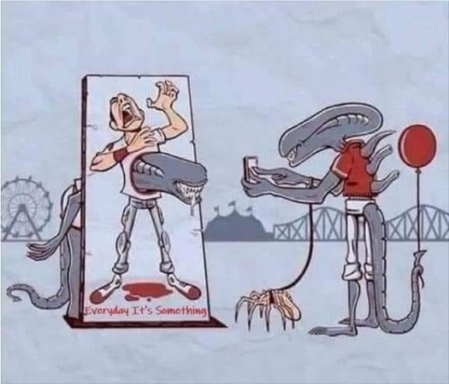 img - 2022-07-10T104340.579