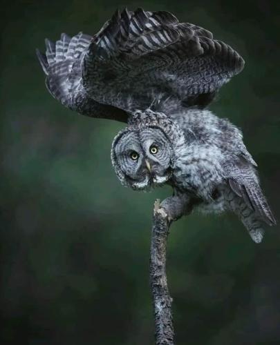 290083539_1600197793707249_6018723197164499470_n