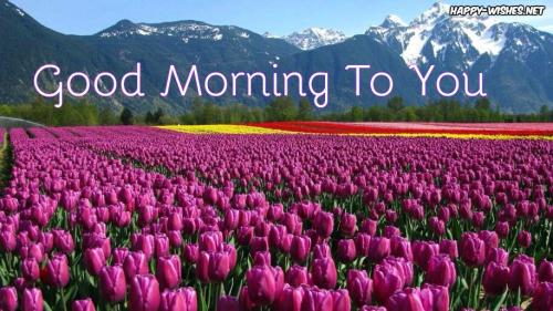 05:06:28 GMT-0700