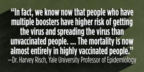 tumblr_81bed02b3a8e0bbb47f0e7b7f513058b_4aced37a_640