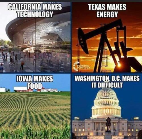 FB_IMG_1657679318337