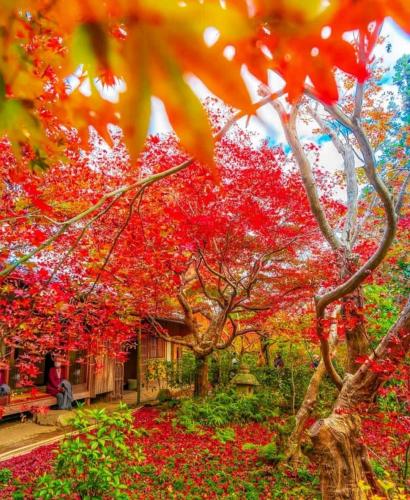 290198423_580697633426243_681353470537586066_n