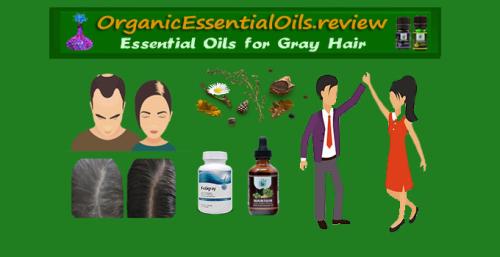 OrganicEssentialOils.review Essential Oils for Gray Hair