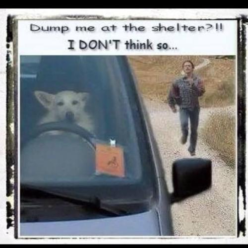 17:22:52 GMT-0500 (CDT).image