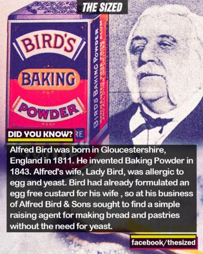 295002390_579300843636237_7220763388283237815_n