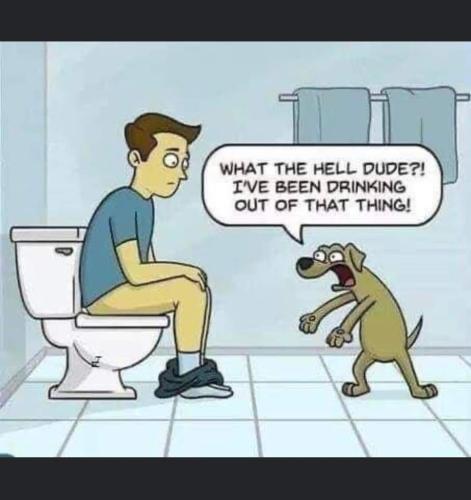 FB_IMG_1657385591259