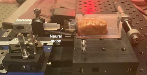 IT neural-probe-brain