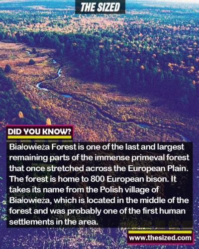 293715433_574244377475217_2241431958567807338_n