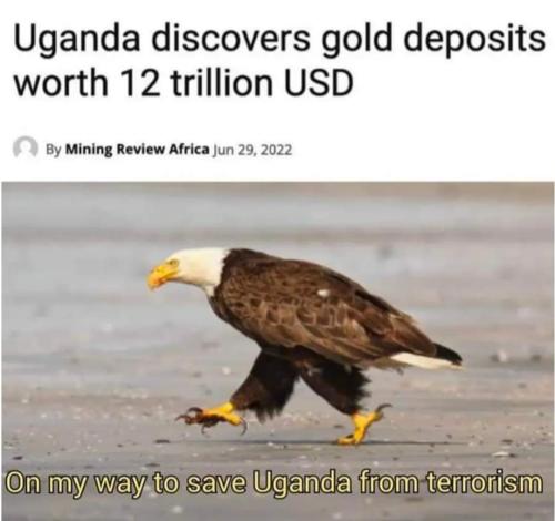 21:14:06 GMT-0500 (CDT)