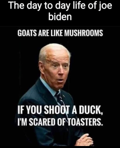 Screenshot_20220711-152327~3