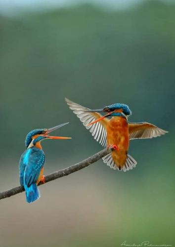 292262832_766589154695673_2307223559642208833_n