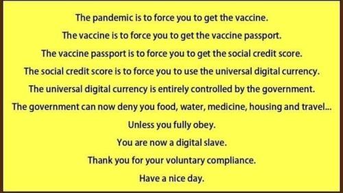 2044206_v2jlenutd8mgglw_full