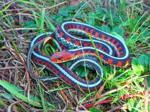 dd7100dcd584b4f80fad1ab14fc6b62f