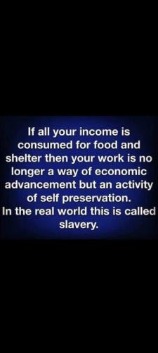 img - 2022-07-30T130642.498