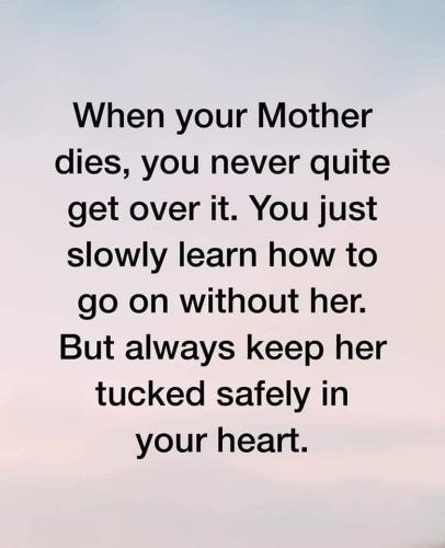 FB_IMG_1657617735502