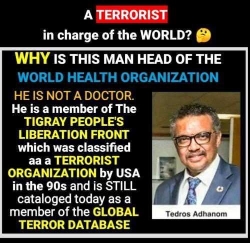 Screenshot_2022-07-23-17-06-29-834_com.google.android.apps.photos~2