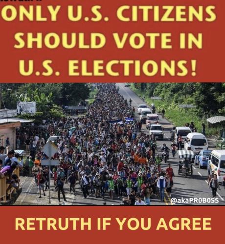 Elections 1