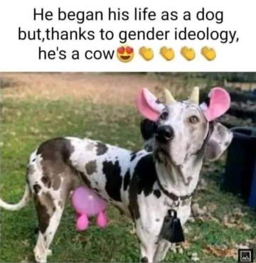 A8533E47-BCF1-44FB-AB0F-02021B1D7D70