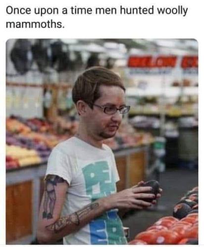 FB_IMG_1657131494033