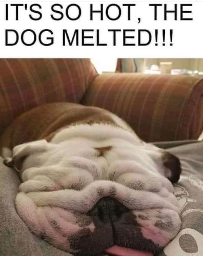 293962336_3147122255552834_8547751743301564991_n