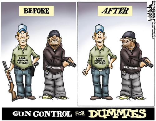 Gun-Control-for-Dummies-Cartoon (1)