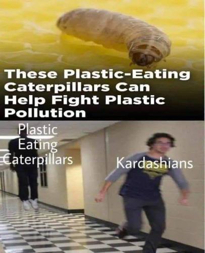 FB_IMG_1658847066298