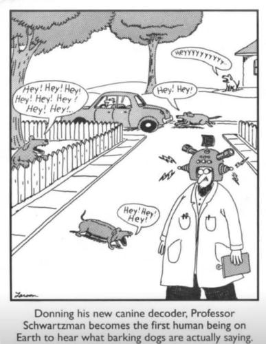 292279339_154043287205205_6909883388328497617_n