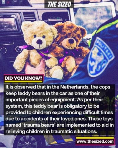 294099762_575213590711629_1205625372770250997_n