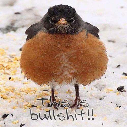 FB_IMG_1655939848398