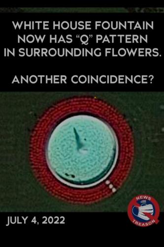 Screenshot_20220704-203442_Wimkin Free Speech Social Media