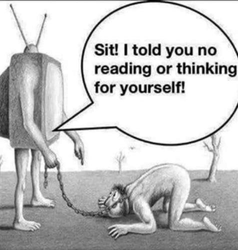 FB_IMG_1658854751890