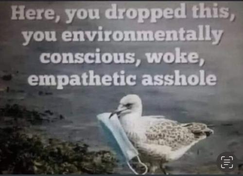 IMG-6045d3a69776952a8cc32760133e8cd1-V