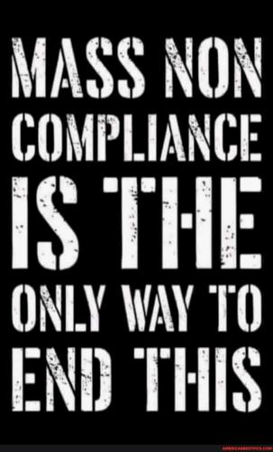 4dadfc1f26d2de08817591d49bdf1d559b3b3b1973722645e34ef1fab9a8a9fc_1