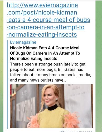 Screenshot_2022-07-23-09-11-53-008_org.telegram.messenger~2