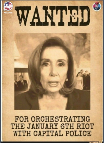 Pelosi 1