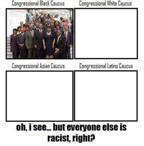 black caucus00