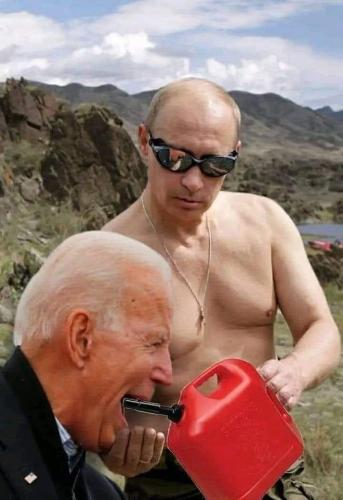 293564511_2340576992751989_3598705967197590011_n