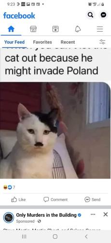 FB_IMG_1657131855929